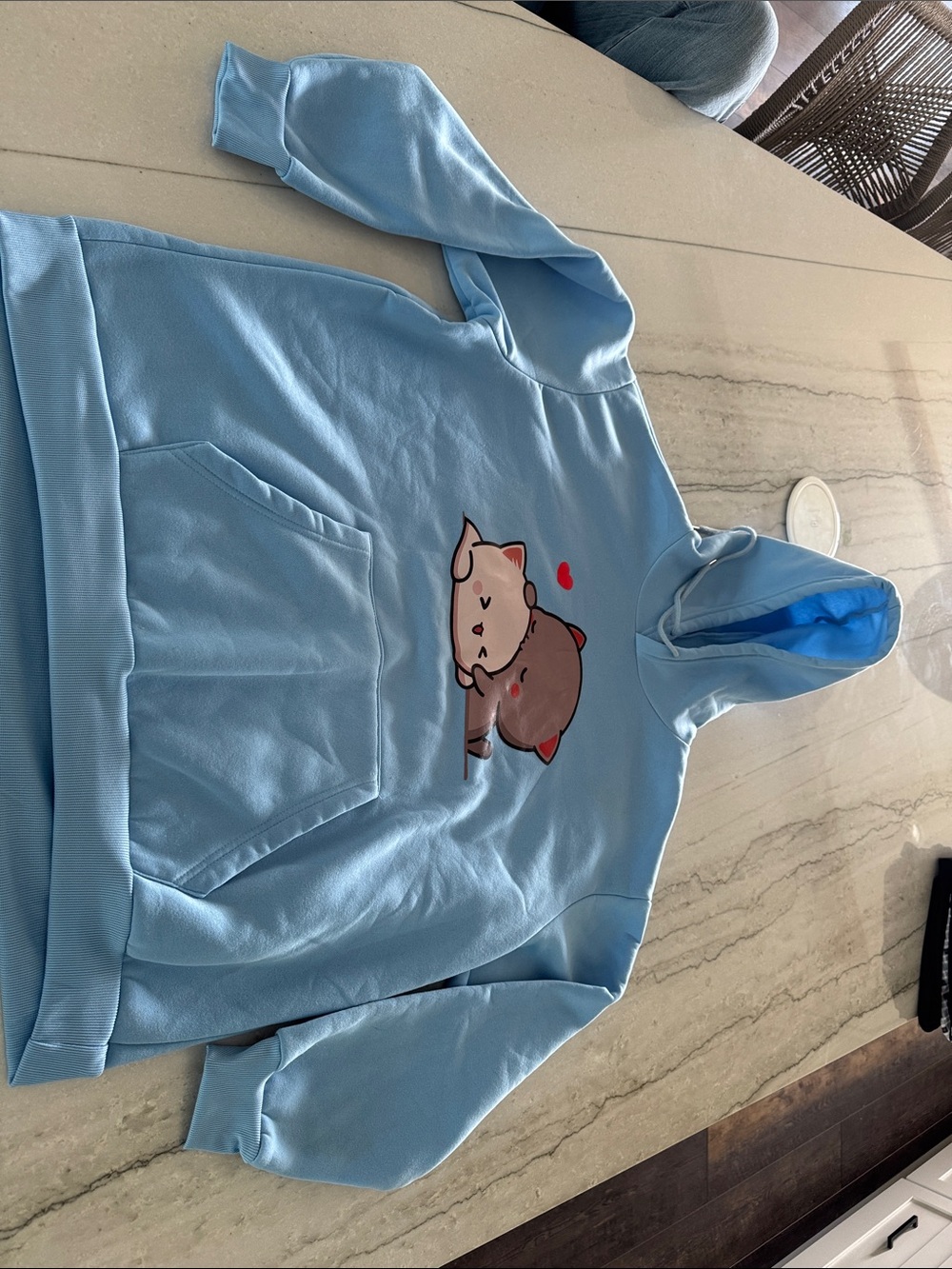 Light Blue Hoodie with Cute Cat Graphic